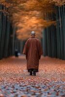 Monk walking through a tranquil bamboo forest in autumn's golden hues photo