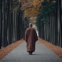 A monk walking peacefully along a tree-lined path in autumn photo