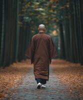 A monk walking through a tranquil bamboo forest in autumn photo