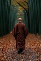 A monk walking through a serene forest path in autumn foliage photo