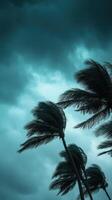 Strong winds bend palm trees during an approaching hurricane in the tropics photo