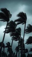 Strong winds bend palm trees during a hurricane near a coastal area photo