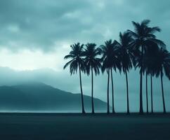Hurricane winds sway palm trees along the coastal shore under gray clouds photo