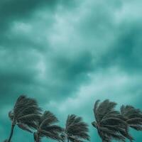 Powerful hurricane winds sway palm trees under dark stormy skies photo