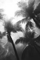 Darkened palm trees swaying under the winds of an approaching hurricane photo