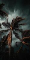 Hurricane winds sway palm trees under dark and ominous clouds photo
