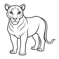 Easy Lioness Coloring Page Ideas vector