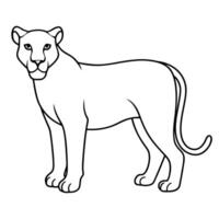 Coloring Sheets of a Lioness vector