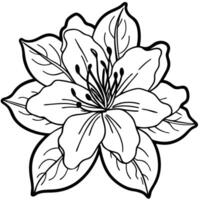 White Background Azalea vector