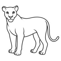 Printable Lioness Coloring Outlines vector