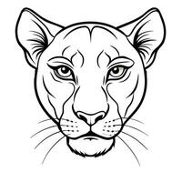 Lioness Outline Coloring Pages vector