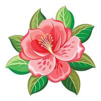 Stunning Azalea Display vector