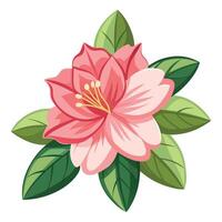 Delicate Azalea Bloom vector