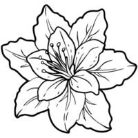 Azalea in Full Bloom vector