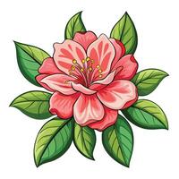 White Frame Azalea vector