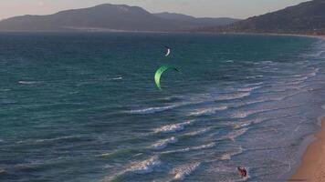 aéreo Visão do tarifa litoral com pipa surfistas e Marrocos dentro Visão video