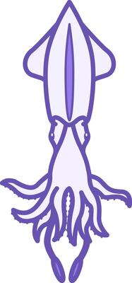 Squid Color Icon. Illustration. Mollusk. Squid with Tentacles and Suckers. Aquatic Animals Concept