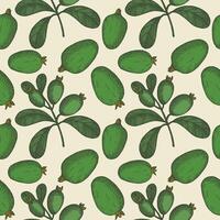 Engraved seamless pattern with Feijoa plants. Hand drawn repeating background with branch and fruits of tropical berry edible feijoa. Food, dessert. Design element for label, wrapping, card vector