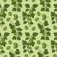 Seamless pattern with Gooseberry fruits. Hand drawn Repeating background with engraved berries plants, branches, sweet gooseberries. For textile, wrapping, label, logo, paper, design, card vector