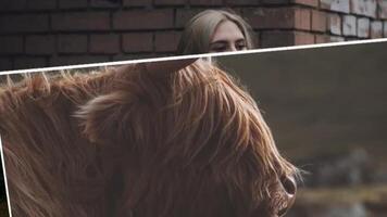 New Minimal Slideshow motion_graphic