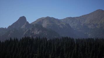 A mountain range with trees in the foreground and a blue sky in the background video
