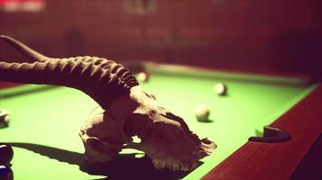 A close up of an animal skull on a pool table video