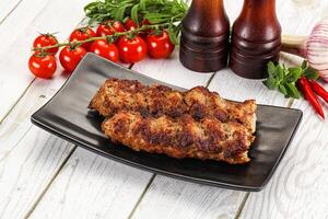 Chicken kebab minced meat and spices photo
