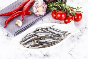 Pickled anchovy in the plate photo
