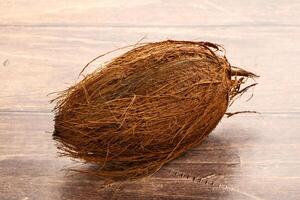 Natural exotic brown hairy coconut photo