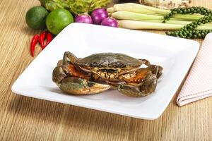 Delicous fresh raw uncooked crab photo
