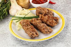 Beef kebab minced meat with onion photo
