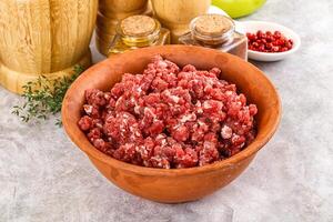 Raw beef minced meat for cooking photo