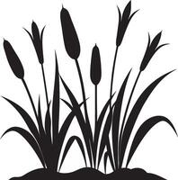 silhouette of grass and reeds on a white background vector