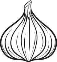 a garlic bulb is shown in a black and white drawing vector