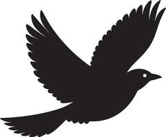 a black bird flying in the air on a white background vector