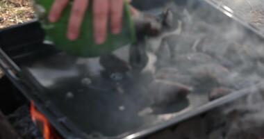 Hands put seafood mussels in black shells onto baking sheet while cooking outdoors on bbq grill. Blurry view through smoke to mussels in shells preparing on grill. Moving from blur into soft focus video