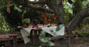 Rustic style fall setting table for Thanksgiving dinner at autumn garden party under huge tree. Wooden table covered white tablecloth, vintage crockery, fall harvest decorations and floral arrangement video