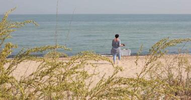 Woman walk to seashore with bowl to table on beach sand. View through swaying plants to sandy shore and sea with waves. Unrecognizable female silhouette walking by beach. Tranquil seascape in summer video