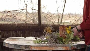 Cut off using scissors roots and stems of wildflowers to make bouquet in wooden vase on table in summer house. Floral decoration with meadow flowers and spring herbs, rustic style floral arrangement video