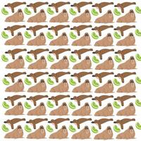 seal, walrus with fruit as a pattern background vector