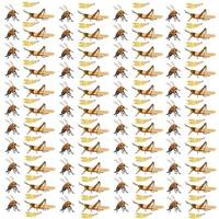 grasshopper, bee with fruit as a pattern background vector