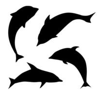 dolphin silhouette collection vector