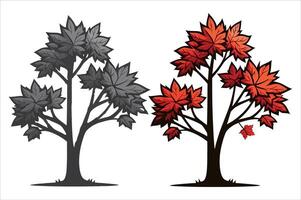 maple tree with orange and black leaf with white background vector