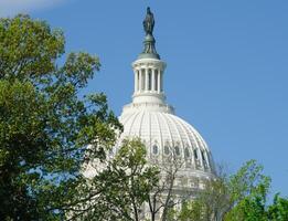 Dome of the US Capitol Building with trees in the foreground photo