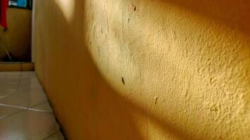A yellow wall with a shadow on it photo