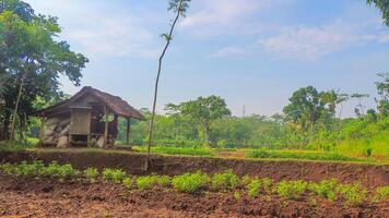 A small hut in the middle of a field photo