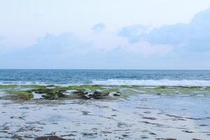 pictures of beautiful beach views photo