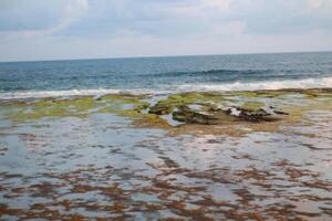 pictures of beautiful beach views photo