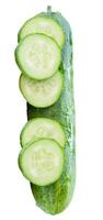 Top view of fresh green cucumber with slices in circle shape in stack isolated on white background with clipping path photo