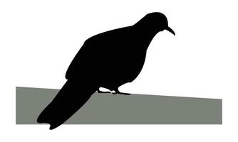 Spotted Dove Silhouette Design vector